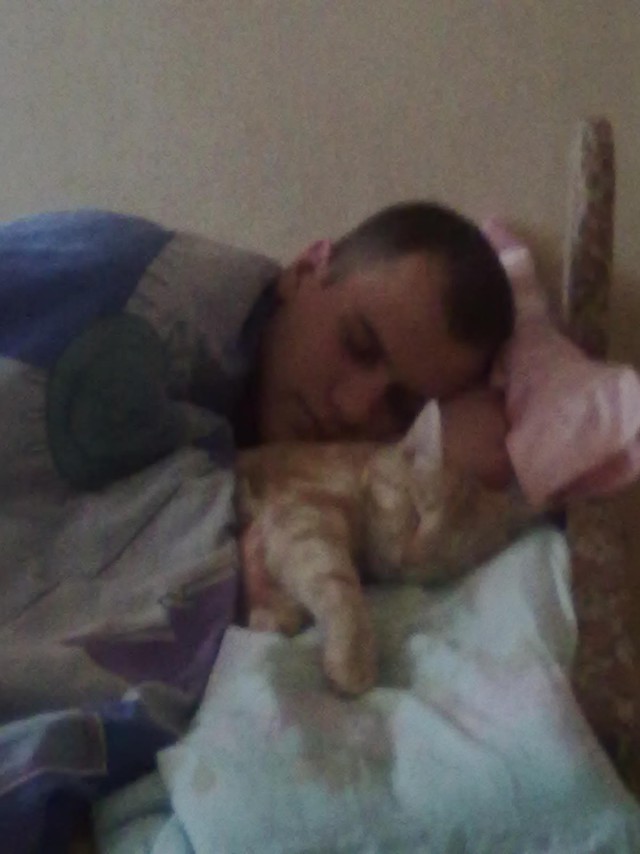 Забавный котикс