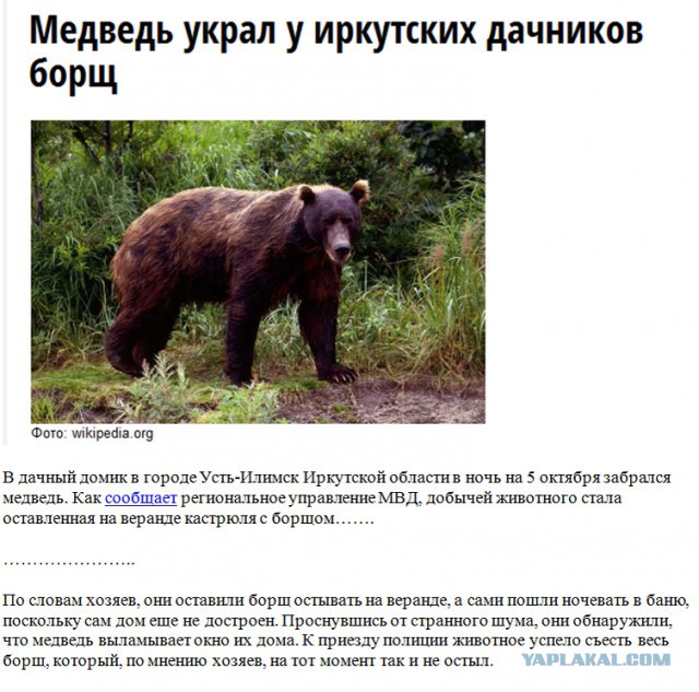 Несколько фактов о борще