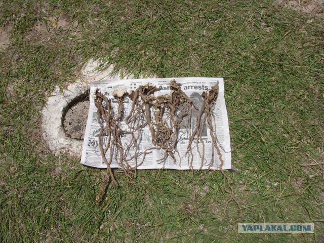 Океания: Фиджи и Тувалу