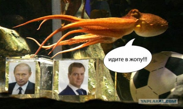 Все под контролем - проверит лично!