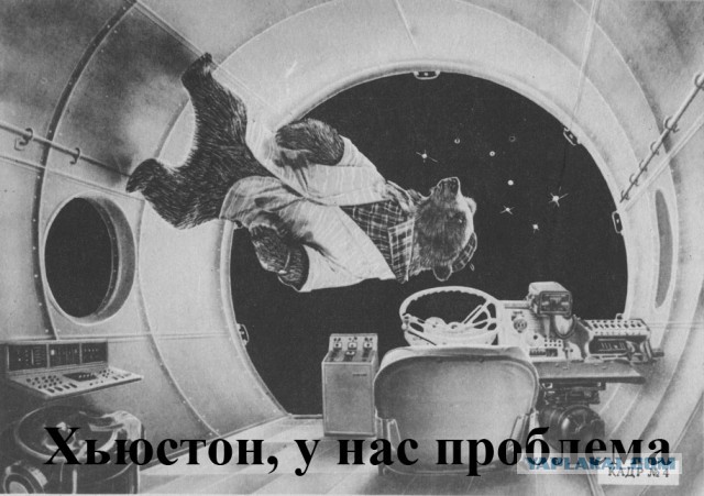 Мужик тащит медведя под шлагбаум!