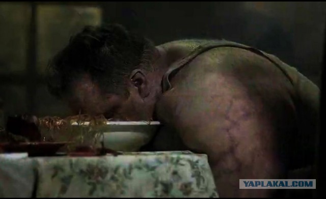 Любимая киноеда