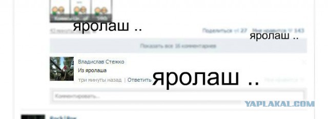 Грамматнасть и нтилехт вконтактовских обитателей
