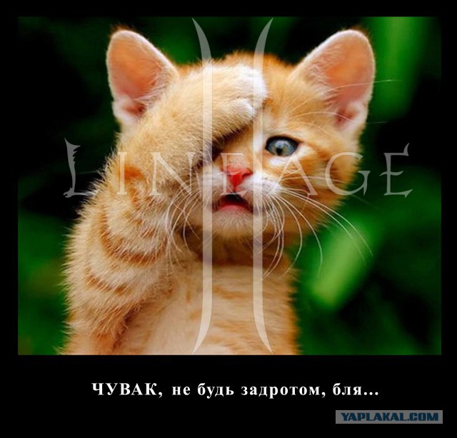 Нид хелп в фотожопе.