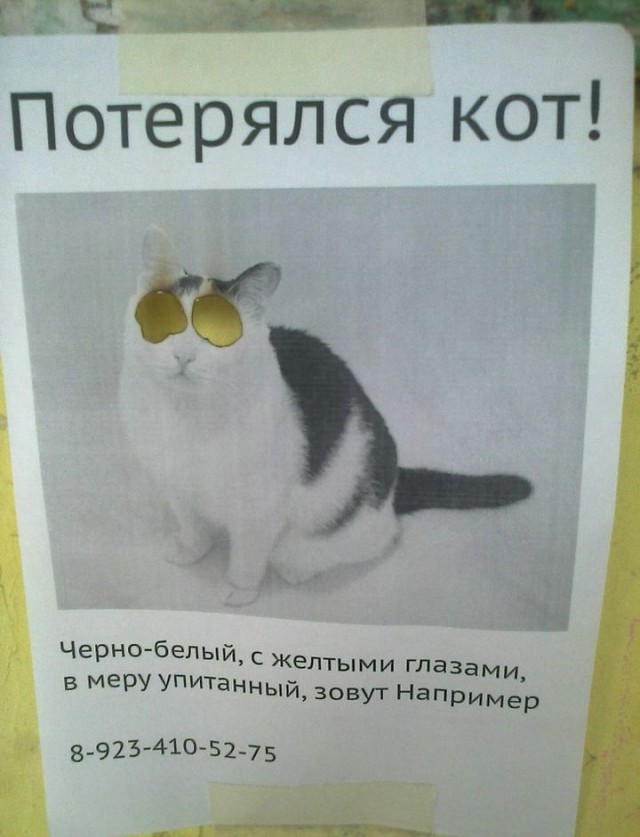 Немного смешных картинок из сети
