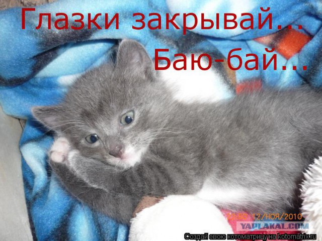 Как казахи используют круиз контроль