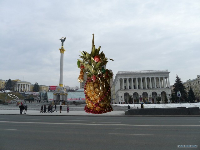 Центральная ёлка страны (Киев)