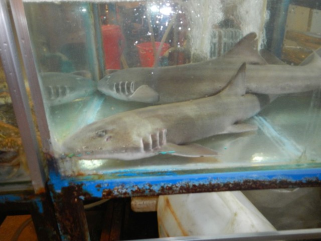 Остров Phu Quoc