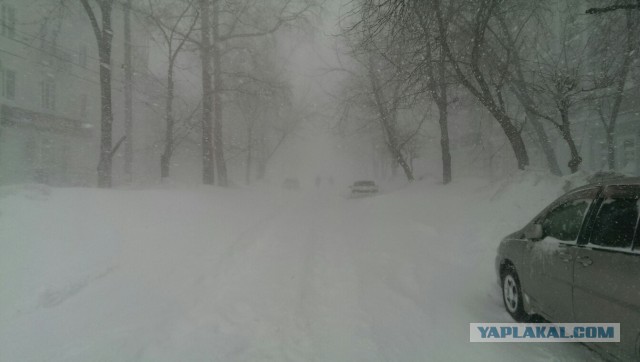 А тем временем в Хабаровске