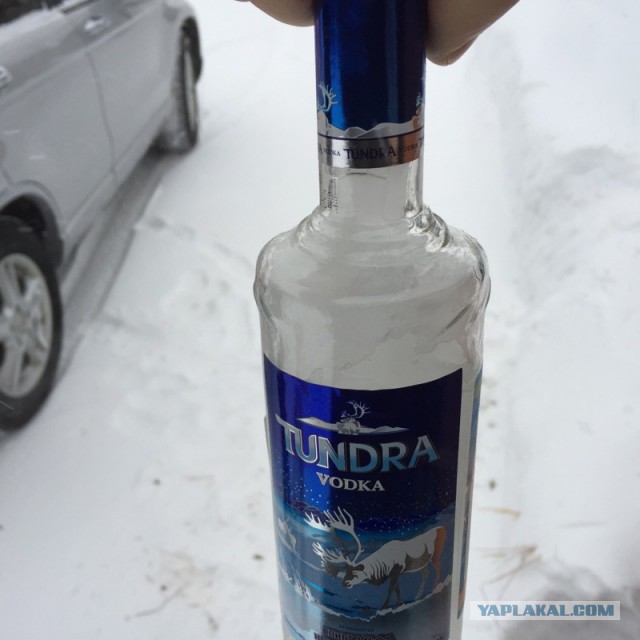 Шокируем японок Русской зимой