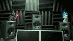 Наши коты странные