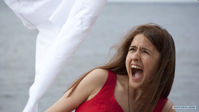 Месть медведя