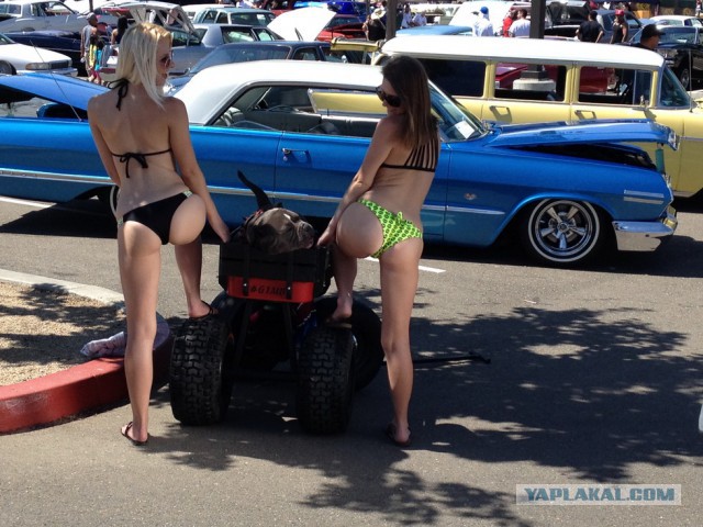 Ежегодная выставка Scios Auto Club