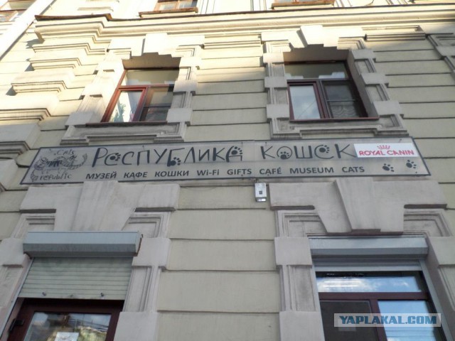 Усатые бойцы блокадного Ленинграда