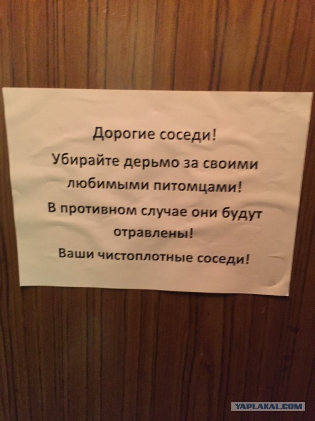 Лифт чат моих соседей