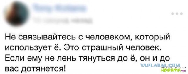 Весёлые картинки