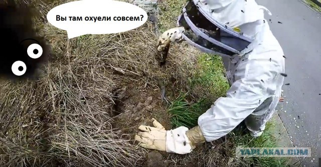 Ошибся домом, хозяева озверели