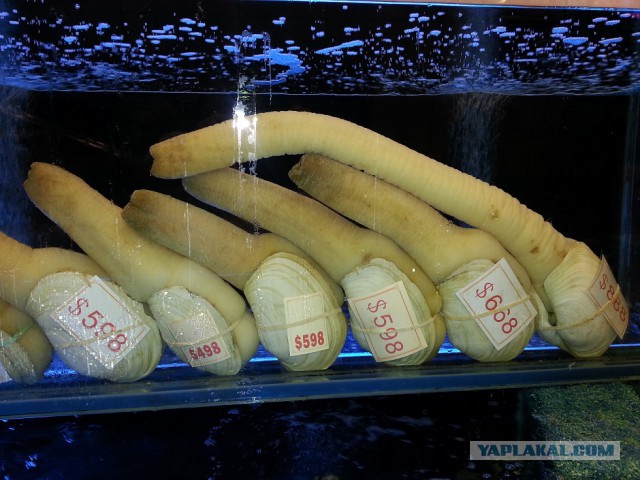 Совершенно нереальный фокус!