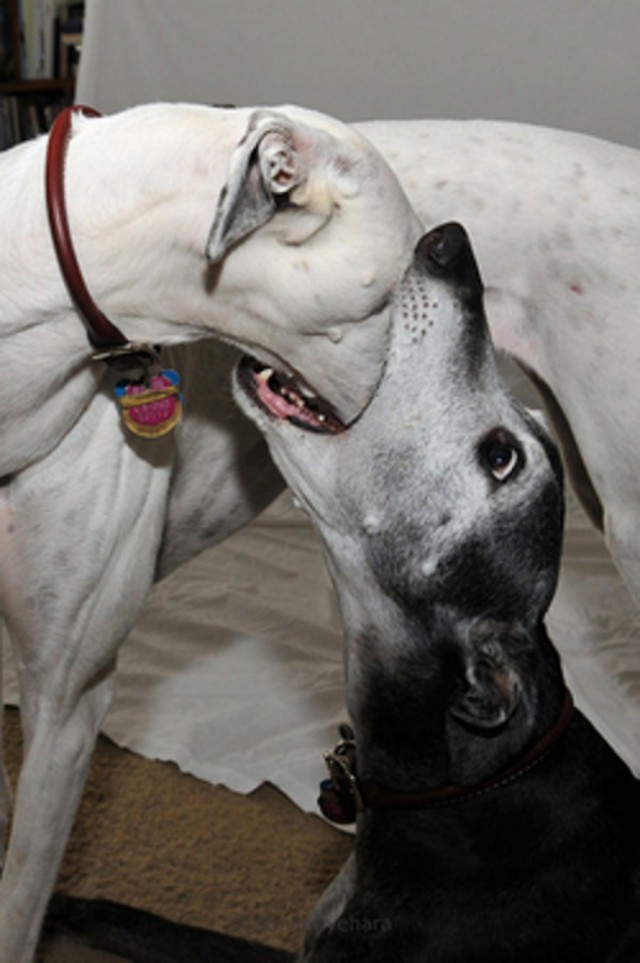 Подборка интересных и красивых фото