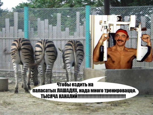 Фотожаба: Невидимый зверь