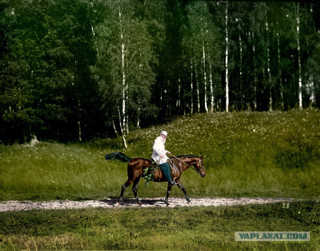 Московская художница Ольга Ширнина раскрасила более 2000 старых фотографий