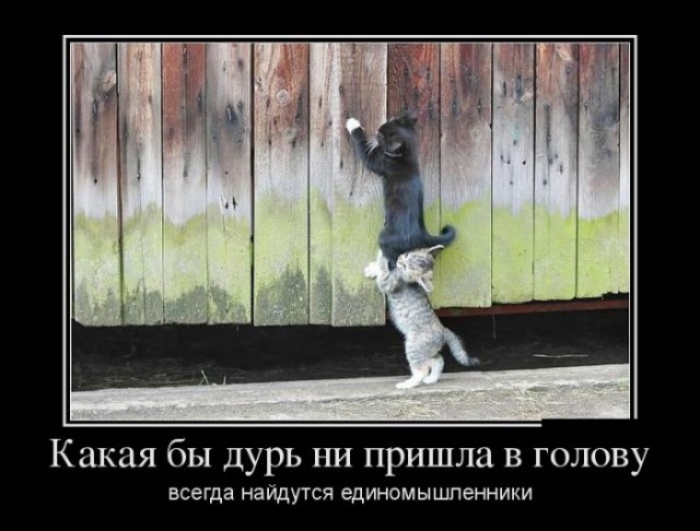 Подборка интересных и веселых картинок