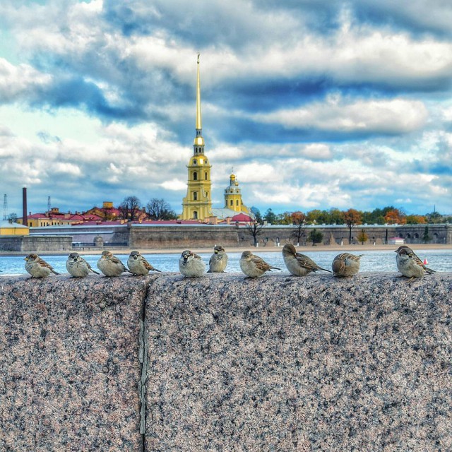 Фото интересные и не только