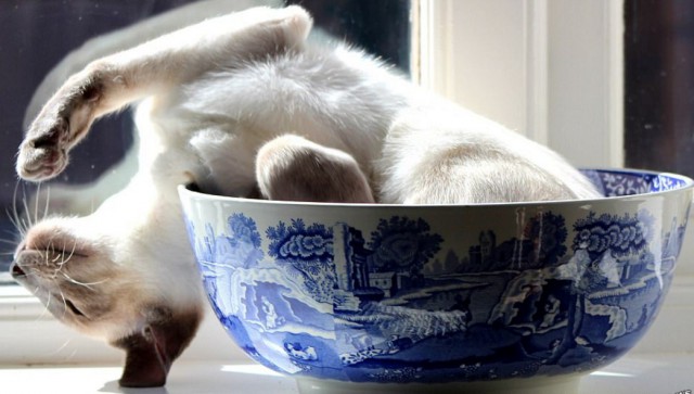 Подборка интересных и веселых картинок