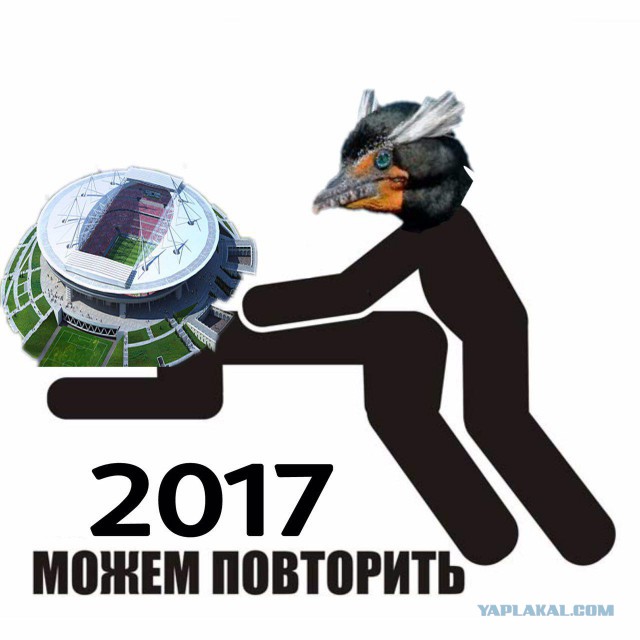 Бакланы и стадион