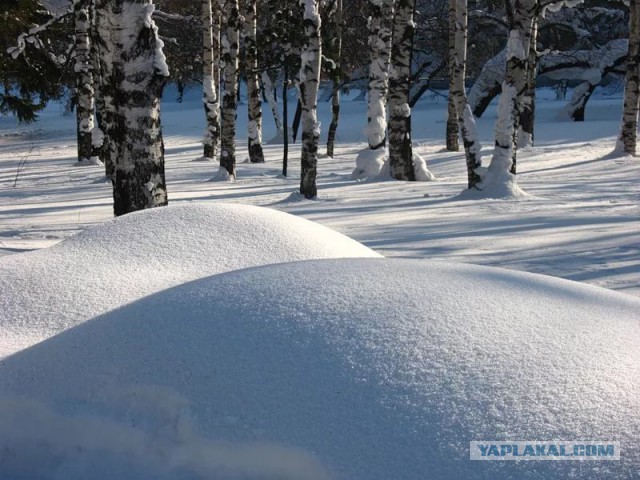 Макрофотографии снежинок, как отдельный вид прекрасного