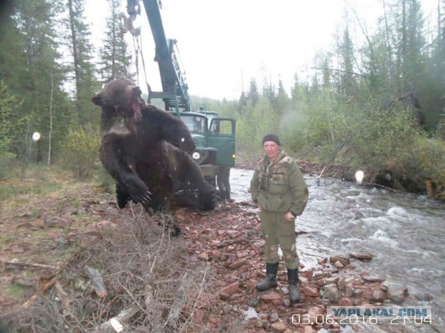 Привет, Мишаня!