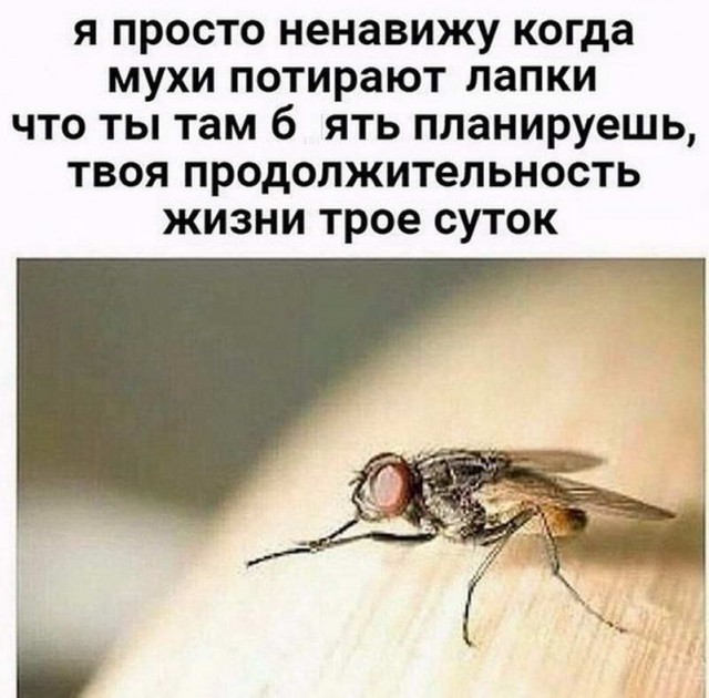 Комментарии к постам в разных группах, которые вызвали улыбку