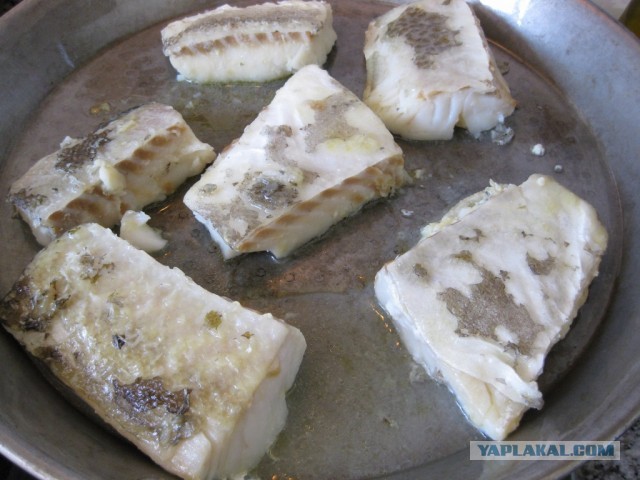 Треска с попугаями