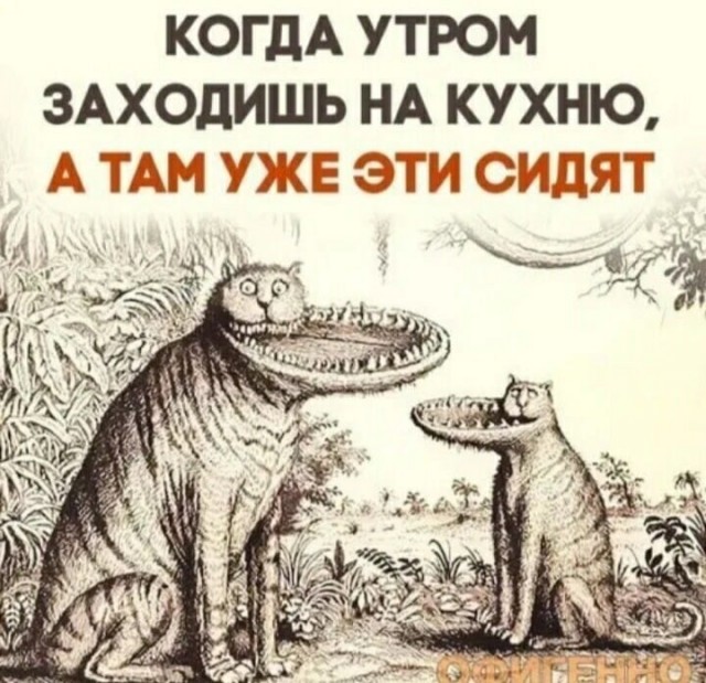 Бредзона 20.09.20