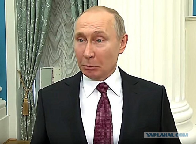 Студентка РАНХиГС на стриме рассказала, что будет уважать Путина до тех пор, пока сможет получать взятки