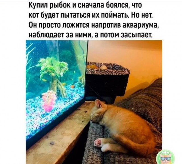 Картинки и мемы для настроения 28.04.2021