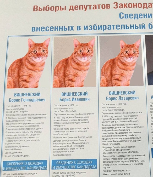 Три "Бориса Вишневских" за день стали главным мемом предстоящих выборов в Петербурге