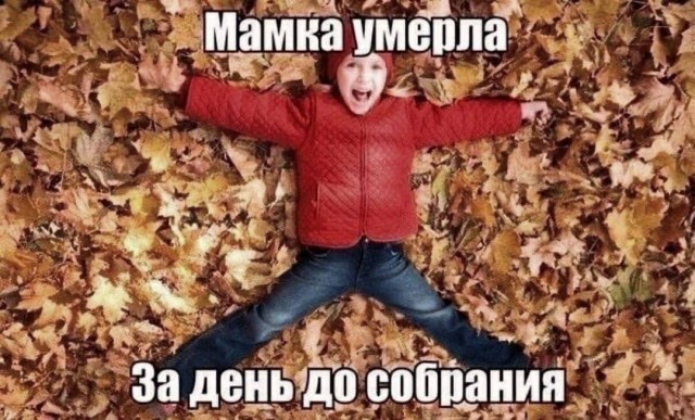 Аморальная деградация