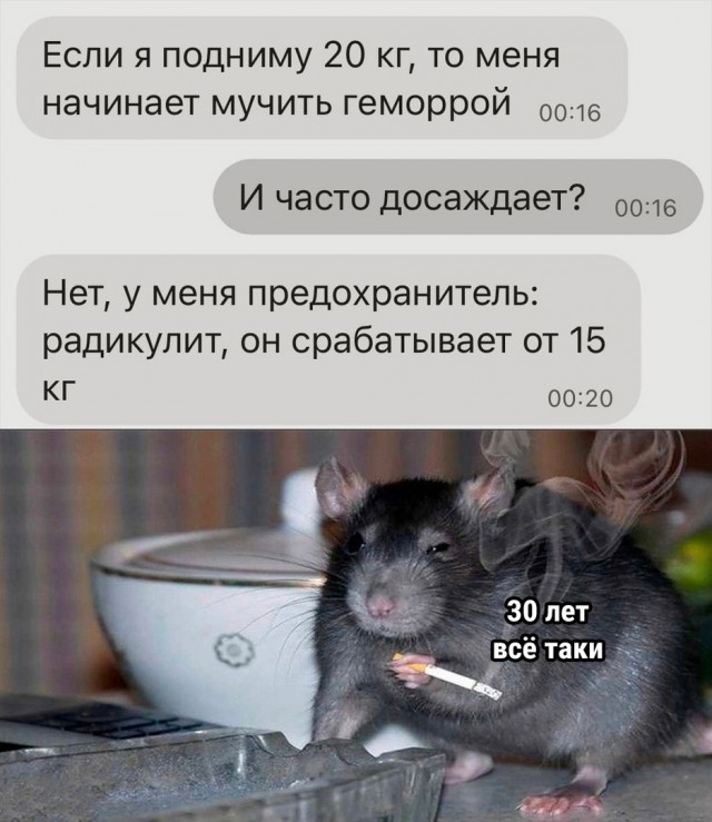 Чуток картинок 13.06.22
