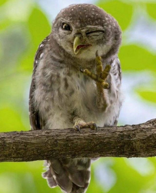 Подборка интересных и прикольных фото из Сети 29.06.22