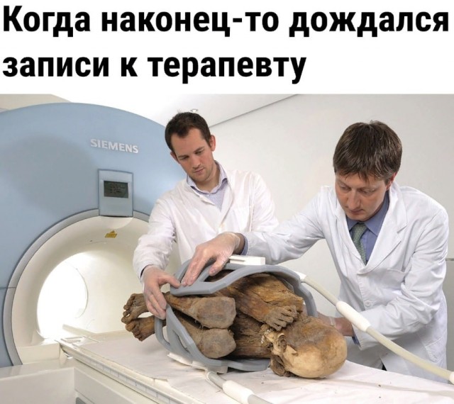 Весёлый полтишок 05.10.23