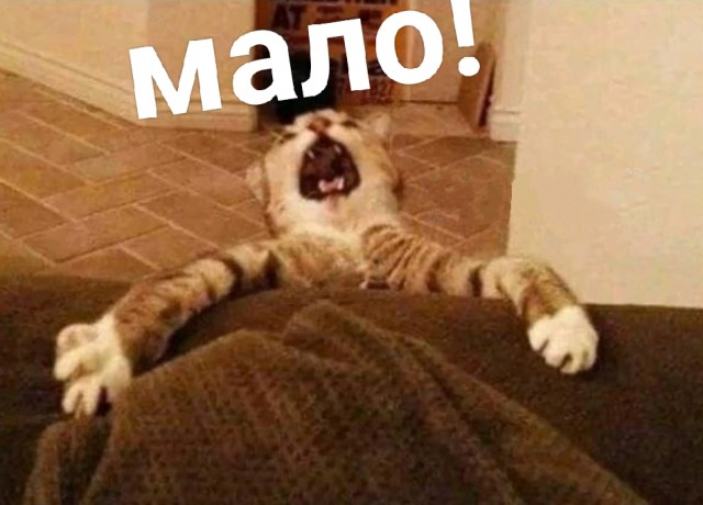 Статная леди из Франции