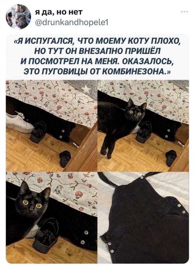 Мемчики и картинки для настроения и подумать