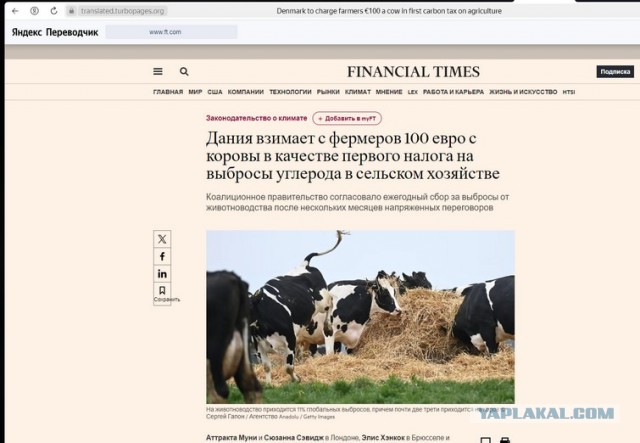 По 100 € за корову или овцу - вынь да положь