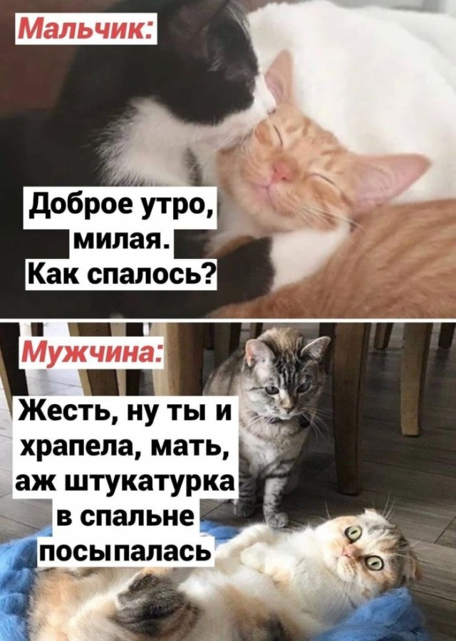Веселые картинки к пятнице (09.08)
