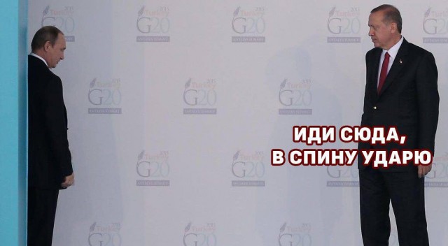 «Чебуреки кричат: Наташа»: Милонов призвал россиянок отказаться от отдыха в Турции в пользу Сирии