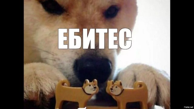 Доморгался