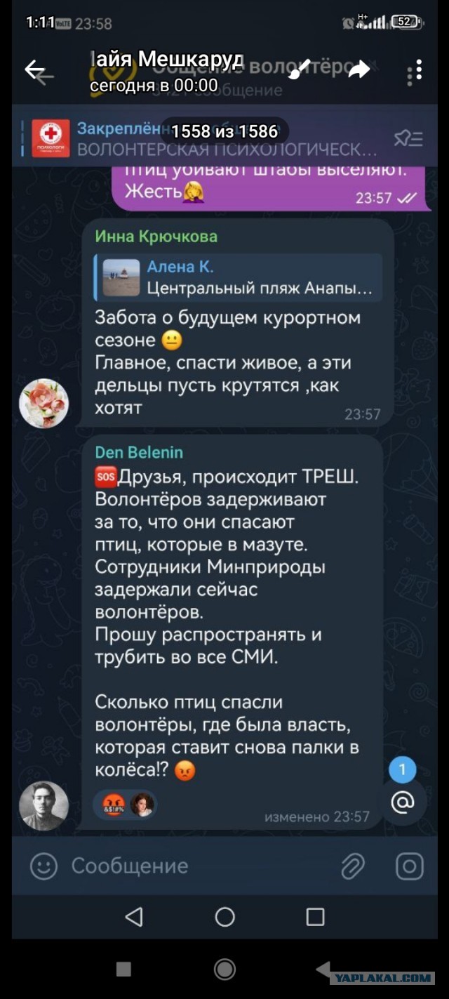 В Анапе экстренно закрывают реабилитационный центр для птиц