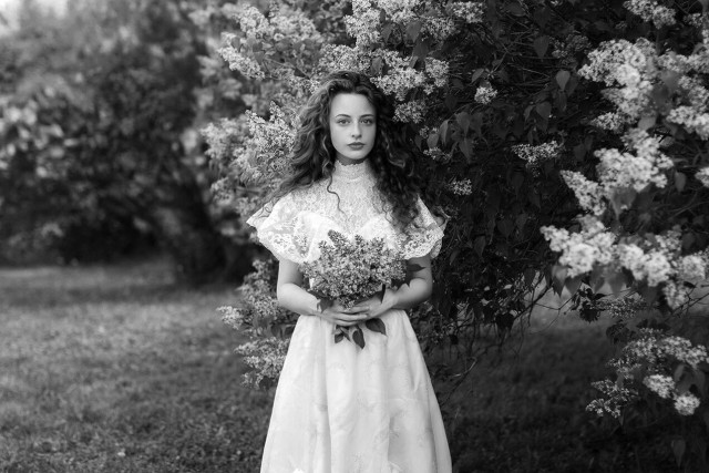 Шесть лепестков