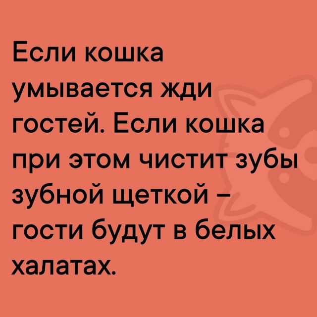 Так себе картинки 30.06.25